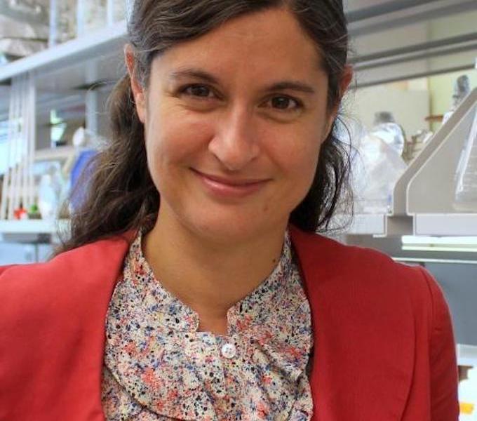 Susanne Ahmari MD, PhD