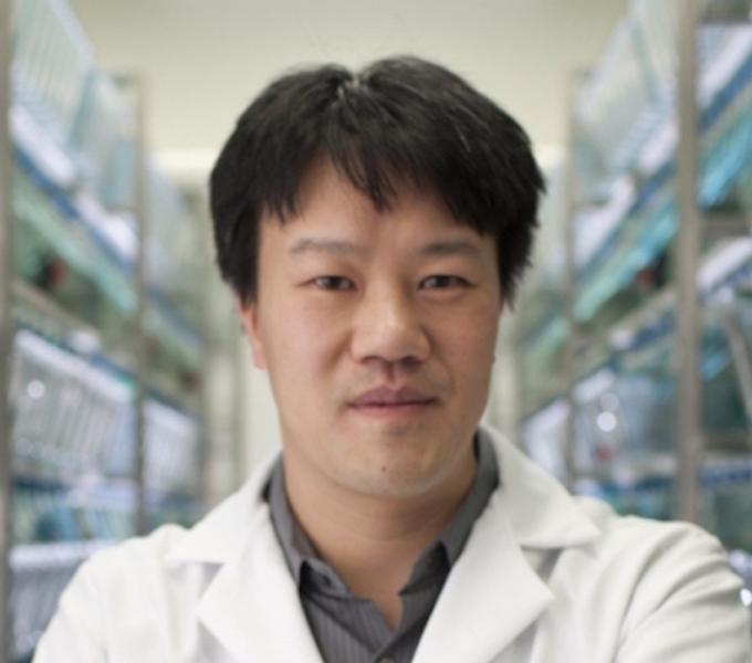 Michael Tsang PhD